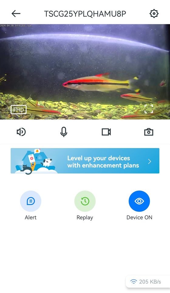 VuePod 鱼缸实时画面